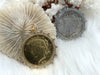 Image of Reproduction Coin Pendant, Liberty Peace Dollar Coin Pendant, Coin Bezel, Vintage Coin Pendant, Coin Bezel CZ . Fast Ship