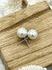 Image of White Freshwater Pearl Stud Earrings, Sterling Silver Stud Earrings, Round or Button Shaped Pearl Studs, Statement Earrings, 7mm, Fast Ship