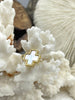 Image of Mother of Pearl and Abalone Connector Cross Charms, Abalone Charms, Gold or Silver Plated Brass, Mother of Pearl Connector Charms, Fast Ship
